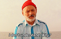 What You're Thinking When Painting | Steve zissou, Giphy, Zissou