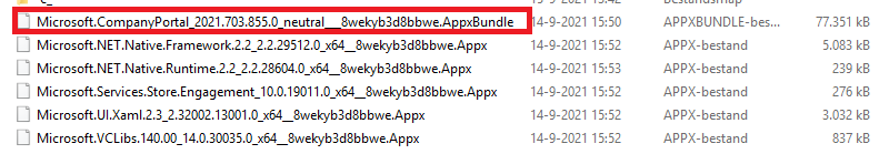 selecting the appx company portal bundle with all the dependency app files