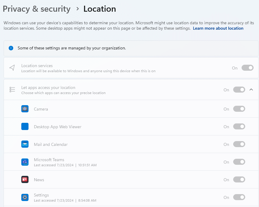 windows privacy and security settings greyed out